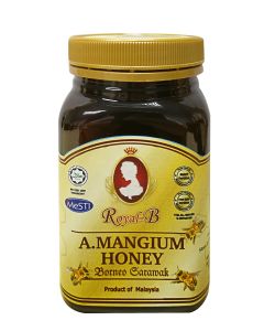 Royal-B A.Mangium Honey 500g (Gold cap)
