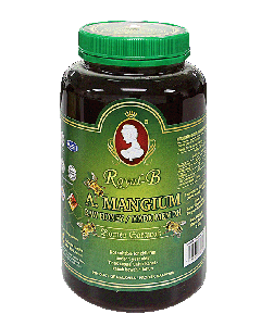 Royal-B A.Mangium Raw Honey 1kg (Green cap)